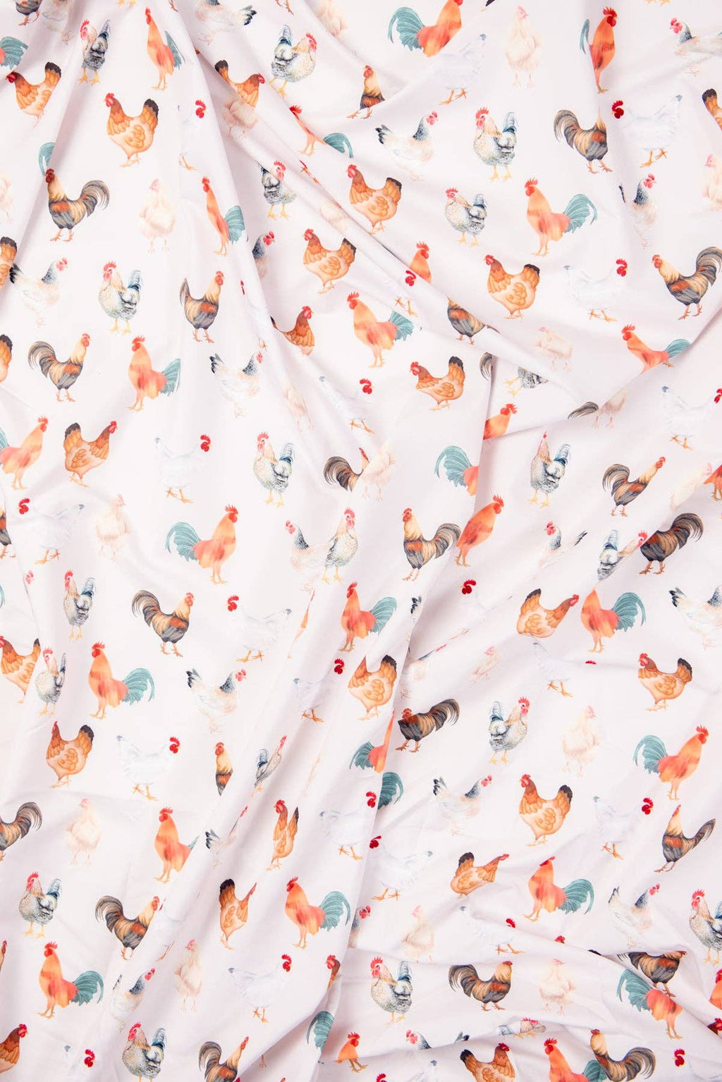 Chicken Twin Bed Sheet Set