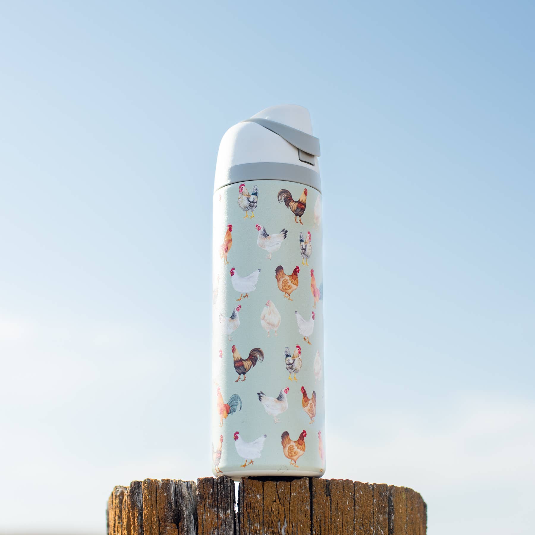 Chicken 24oz Skinny Silo Insulated Tumbler